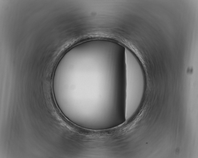 X0000091550625200708171041