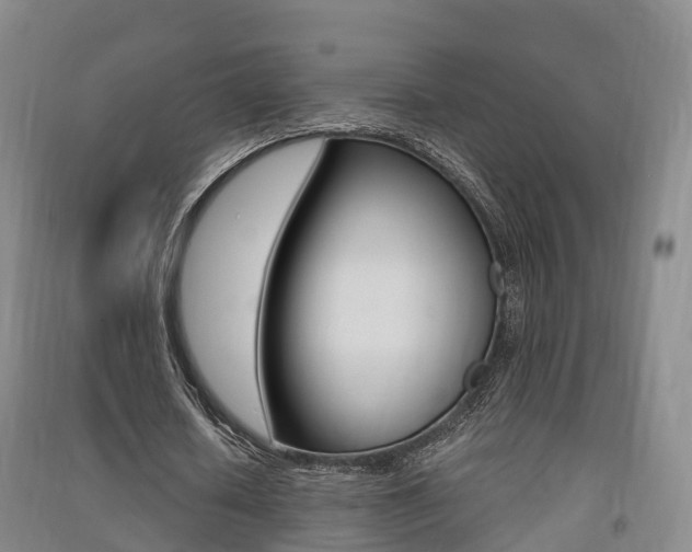 X0000091550626200708171041