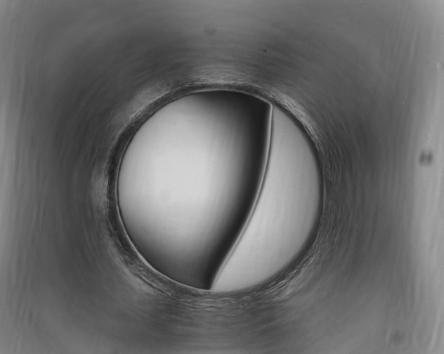X0000091550627200708171041