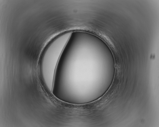 X0000091550628200708171041