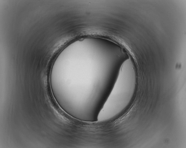 X0000091550629200708171041
