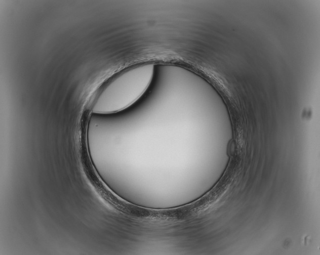X0000091550630200708171041