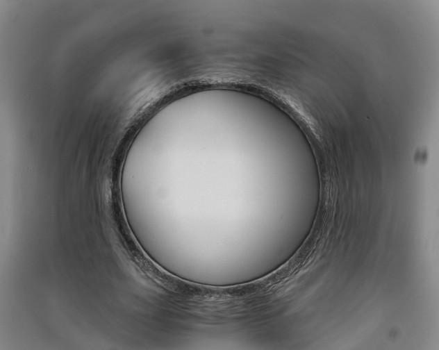 X0000091550631200708171041