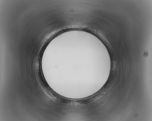 X0000091550632200708171041