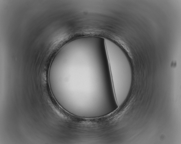 X0000091550633200708171041