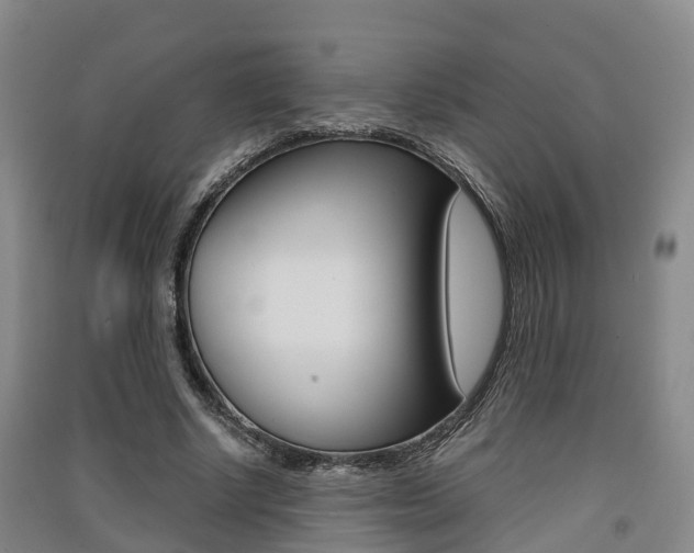 X0000091550634200708171041