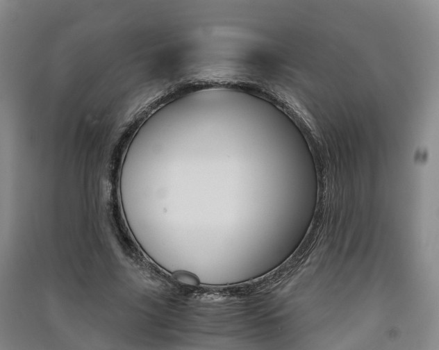X0000091550635200708171041