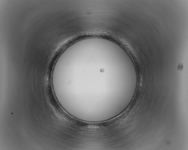 X0000091550636200708171041