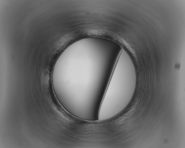 X0000091550637200708171041