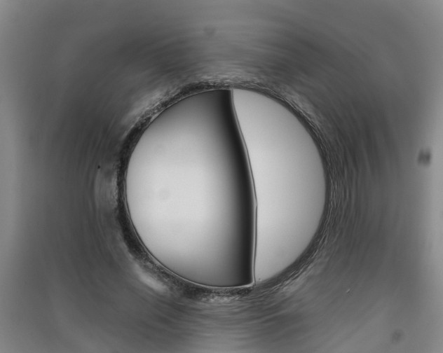 X0000091550638200708171041