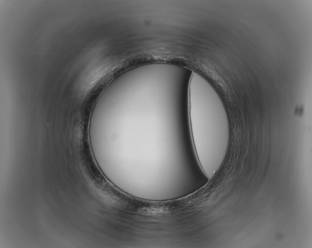 X0000091550639200708171041