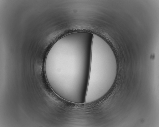 X0000091550640200708171041