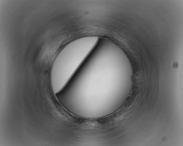 X0000091550642200708171041