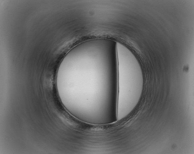 X0000091550644200708171041