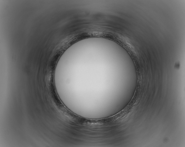 X0000091550645200708171041