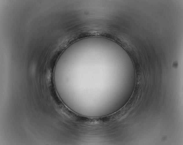 X0000091550646200708171041