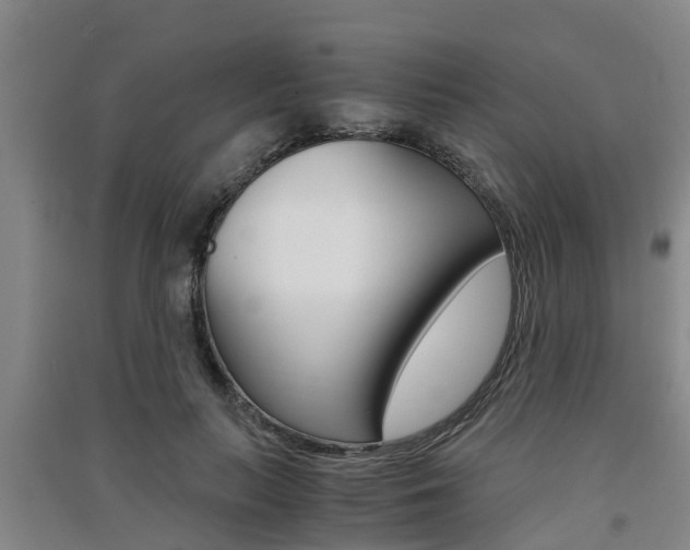 X0000091550647200708171041