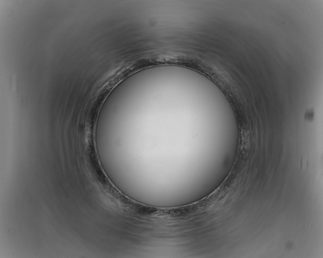 X0000091550648200708171042