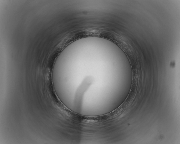 X0000091550649200708171042