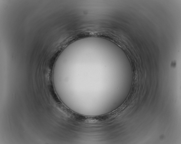 X0000091550650200708171042