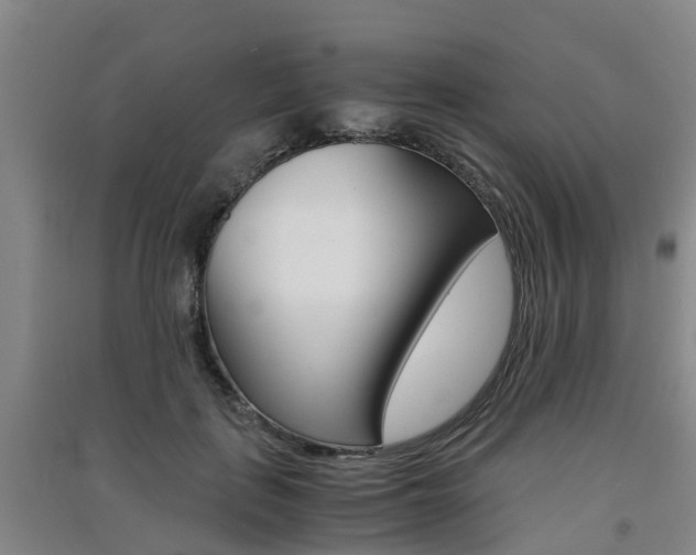 X0000091550651200708171042