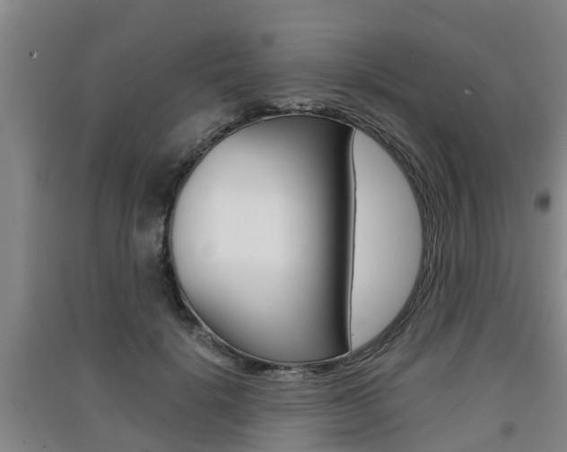 X0000091550652200708171042