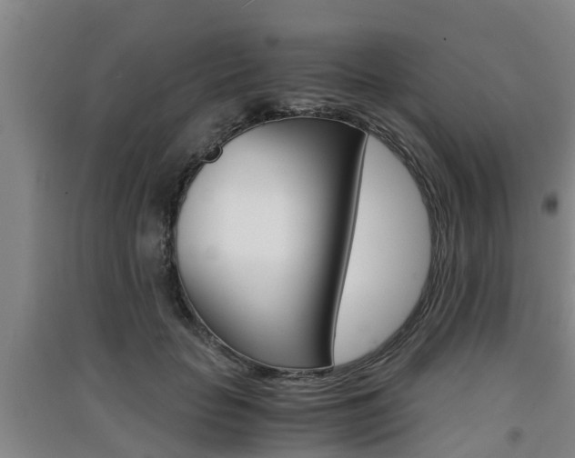 X0000091550653200708171042