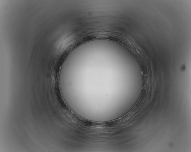 X0000091550655200708171042