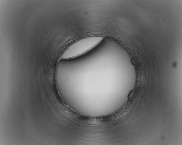 X0000091550656200708171042