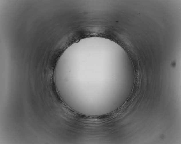 X0000091550657200708171042