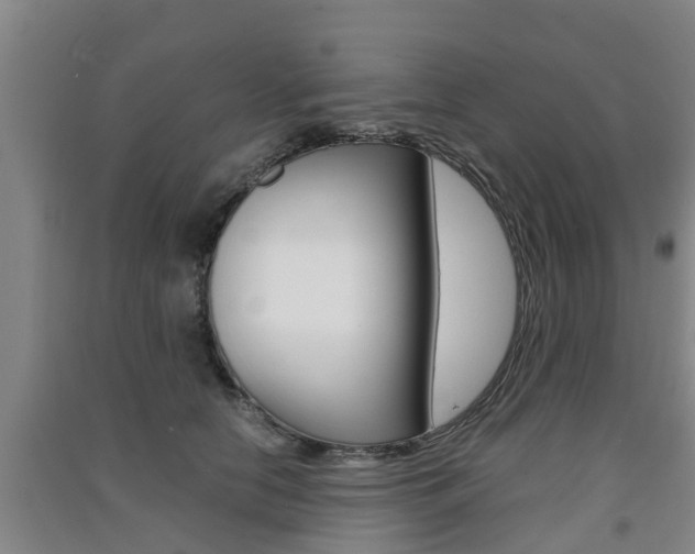 X0000091550658200708171042