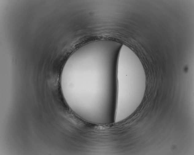 X0000091550660200708171042