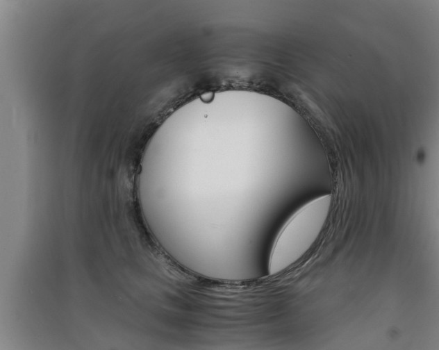X0000091550661200708171042