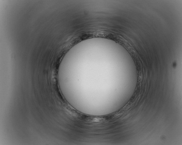 X0000091550663200708171042