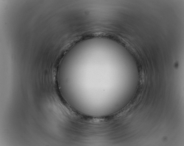 X0000091550664200708171042