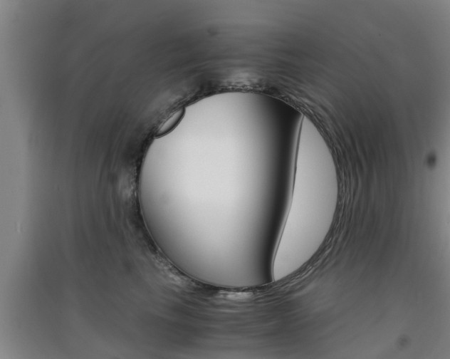 X0000091550665200708171042