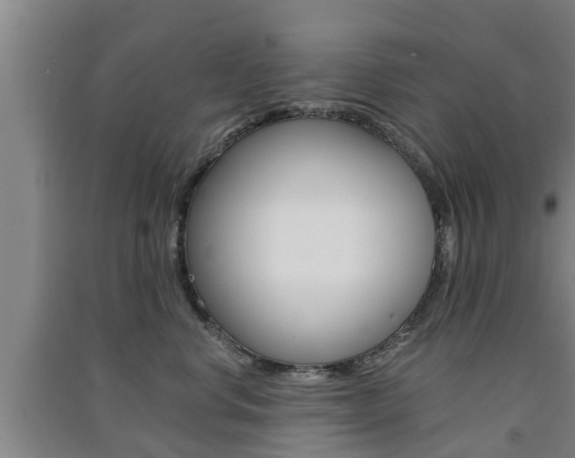 X0000091550668200708171042