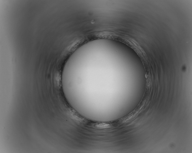 X0000091550669200708171042