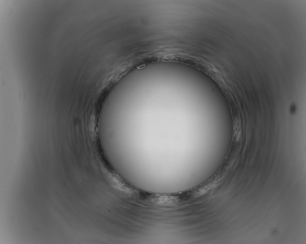 X0000091550670200708171042