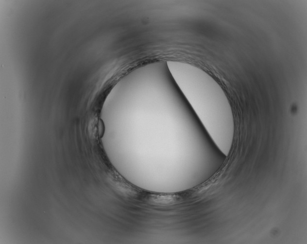 X0000091550671200708171042
