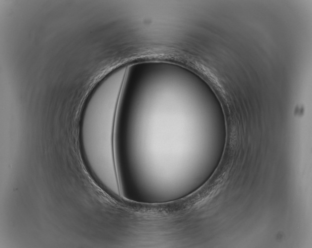 X0000091550673200708171041