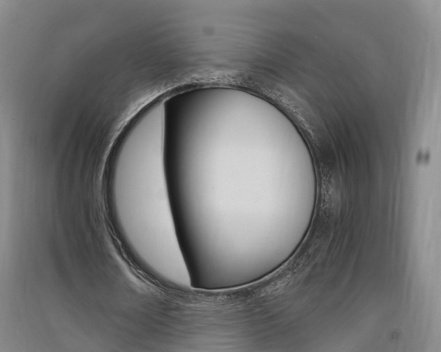 X0000091550674200708171041