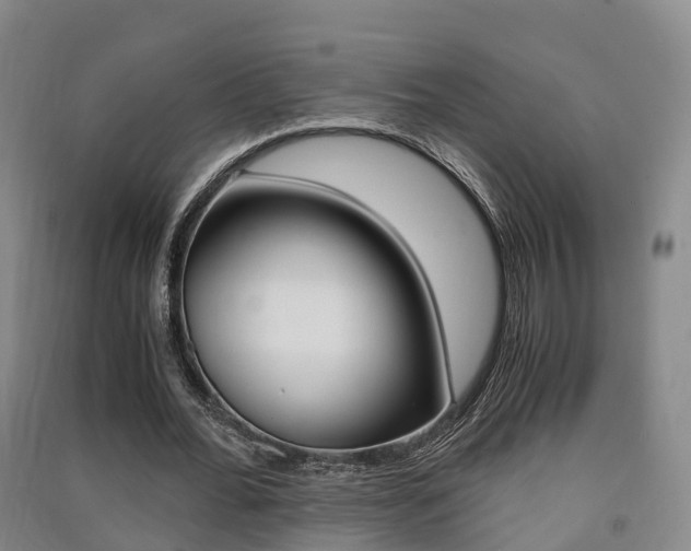 X0000091550676200708171041