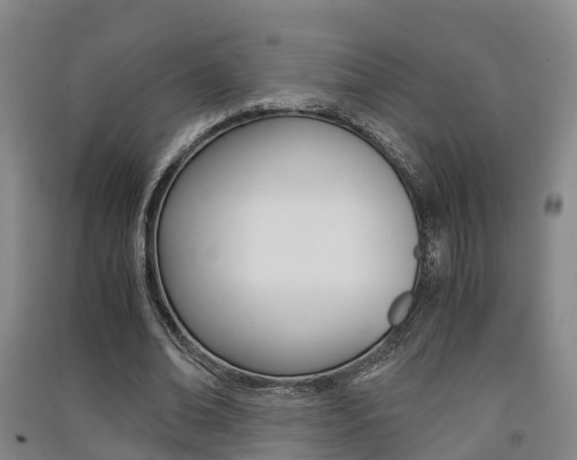 X0000091550678200708171041