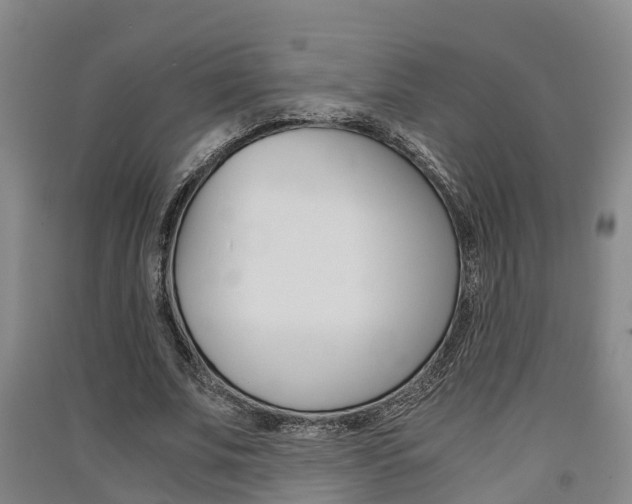 X0000091550679200708171041