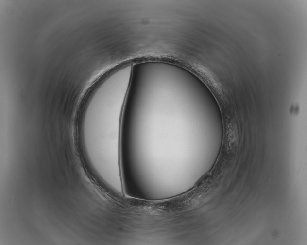 X0000091550680200708171041