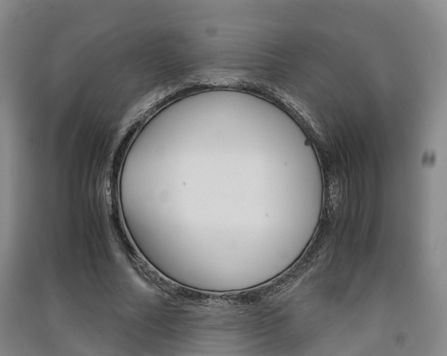 X0000091550682200708171041