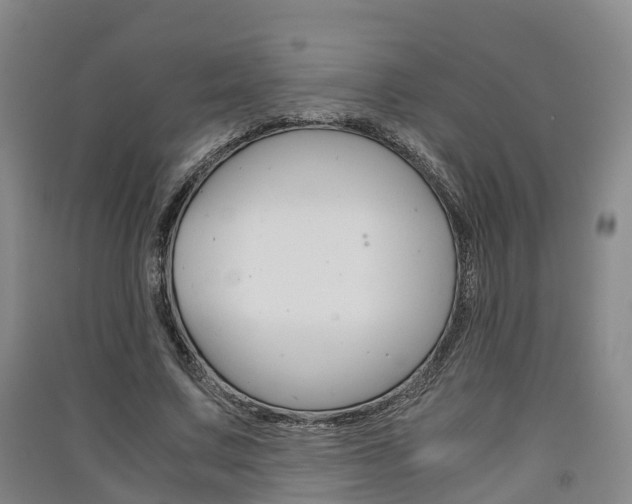 X0000091550683200708171041