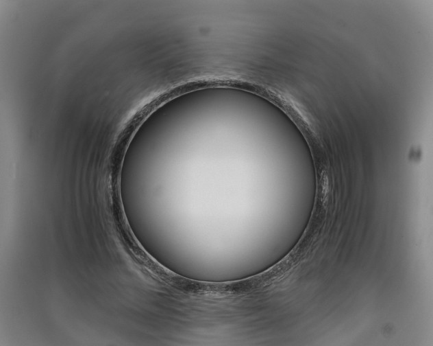 X0000091550684200708171041