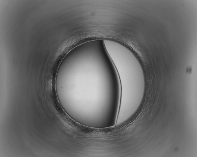 X0000091550685200708171041